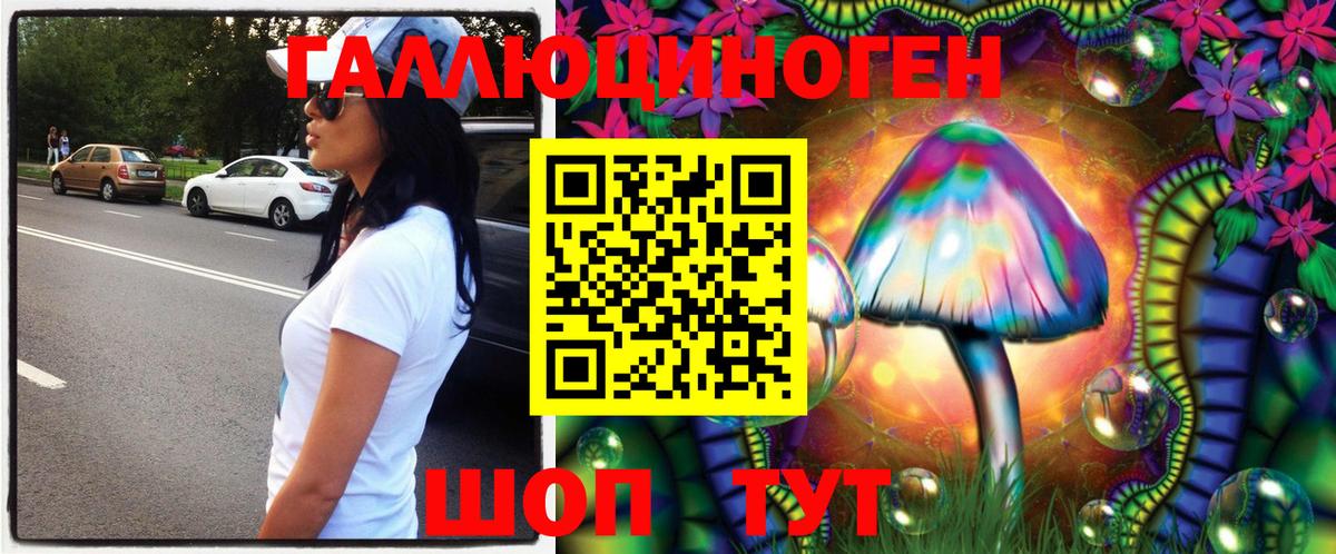 Галлюциногенные грибы GOLDEN TEACHER  Вход с VPN  Михайловка 